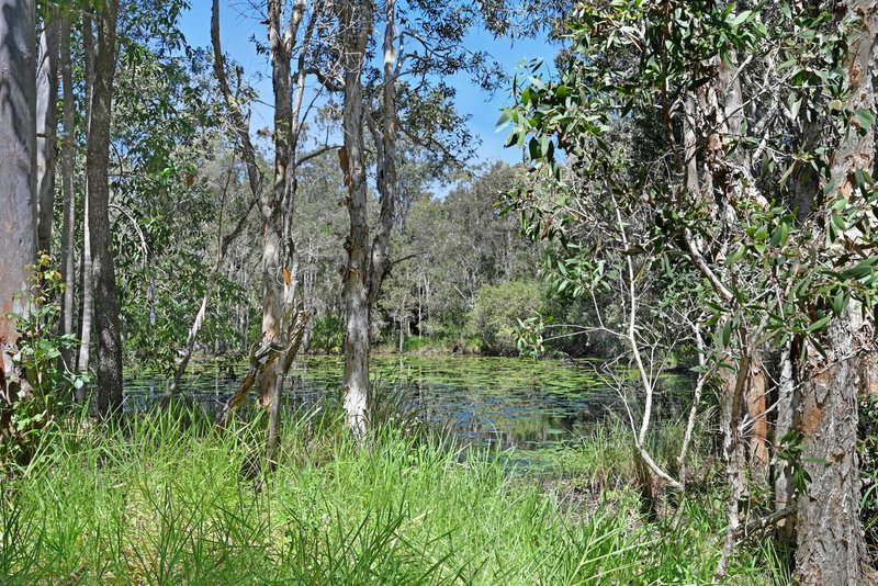 Photo - 187 Rafting Ground Road, Agnes Water QLD 4677 - Image 6