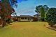 Photo - 187 Rex Road, Georges Hall NSW 2198 - Image 9