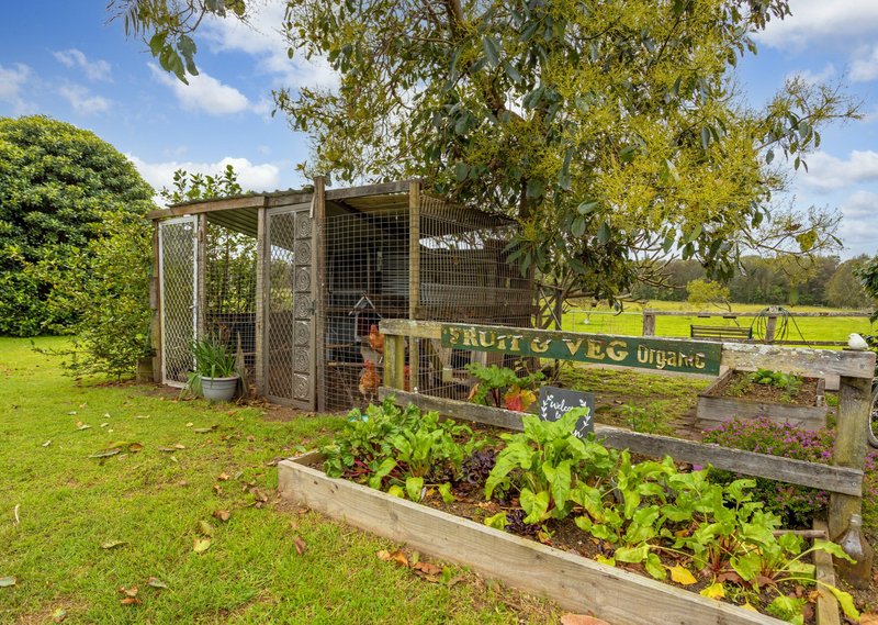 Photo - 187 Sandridge Road, Mitchells Island NSW 2430 - Image 24