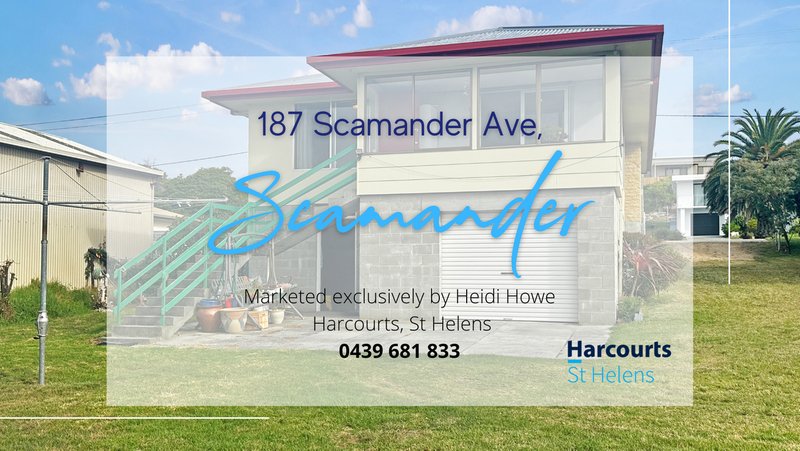 Photo - 187 Scamander Ave , Scamander TAS 7215 - Image 13