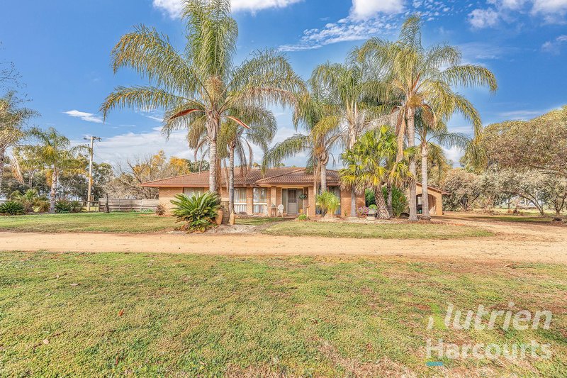 Photo - 1875 Bunnaloo Road, Bunnaloo NSW 2731 - Image 4