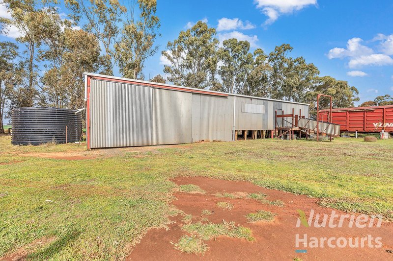 Photo - 1875 Bunnaloo Road, Bunnaloo NSW 2731 - Image 20