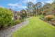 Photo - 1876 Mole Creek Road, Mole Creek TAS 7304 - Image 13