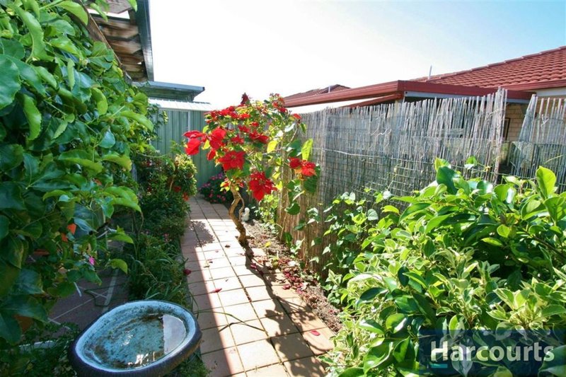 Photo - 18/77-83 Cotterill Ave , Bongaree QLD 4507 - Image 9