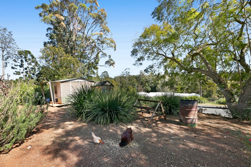 Photo - 1879 Beechmont Road, Beechmont QLD 4211 - Image 34