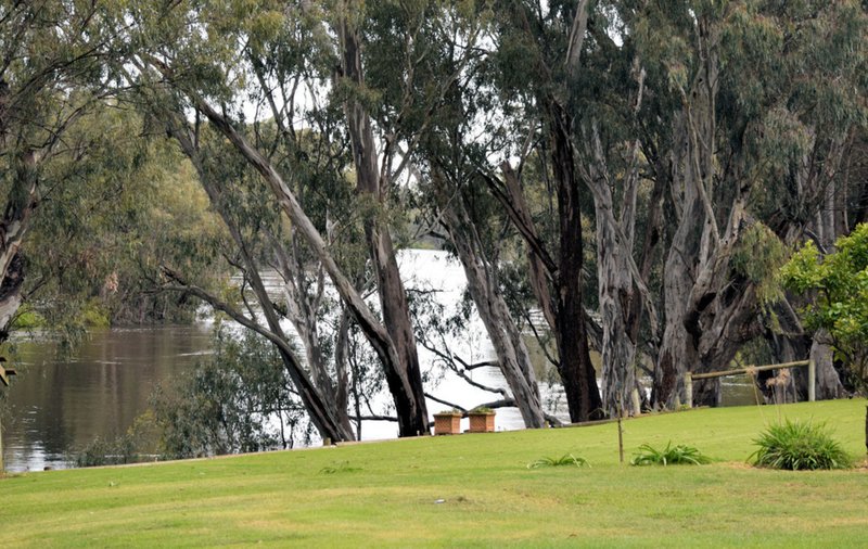 Photo - 188 River Street, Deniliquin NSW 2710 - Image 3