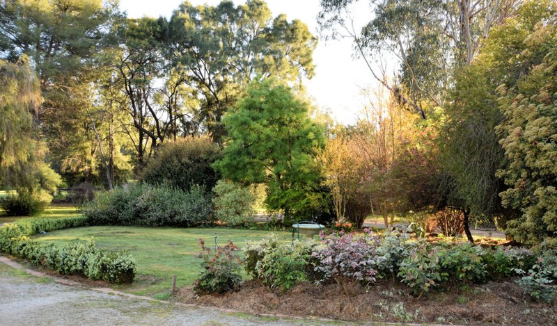 Photo - 188 River Street, Deniliquin NSW 2710 - Image 6