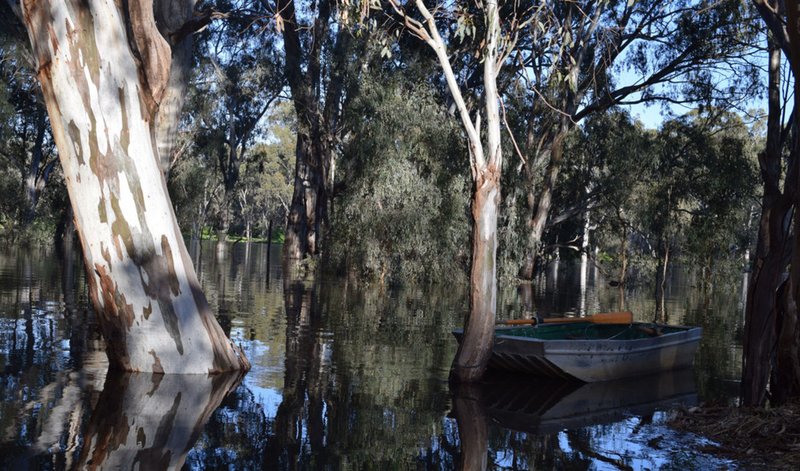 Photo - 188 River Street, Deniliquin NSW 2710 - Image 16