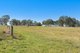 Photo - 188 Sandy Creek Road, Mount Vincent NSW 2323 - Image 15