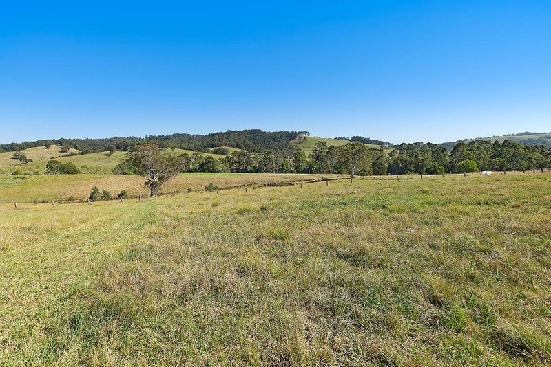 Photo - 188 Sandy Creek Road, Mount Vincent NSW 2323 - Image 16