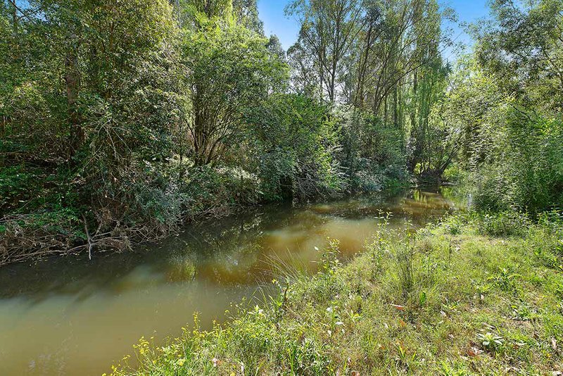 Photo - 188 Sandy Creek Road, Mount Vincent NSW 2323 - Image 18