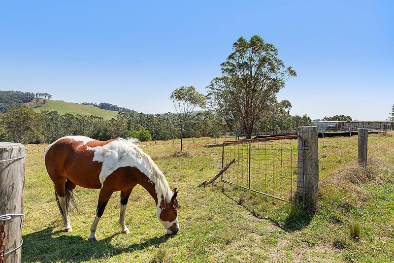 Photo - 188 Sandy Creek Road, Mount Vincent NSW 2323 - Image 25