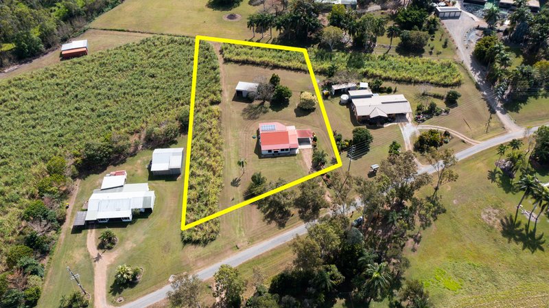 Photo - 188 Wrights Road, Strathdickie QLD 4800 - Image 7