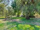 Photo - 1883 Burroway Road, Narromine NSW 2821 - Image 13