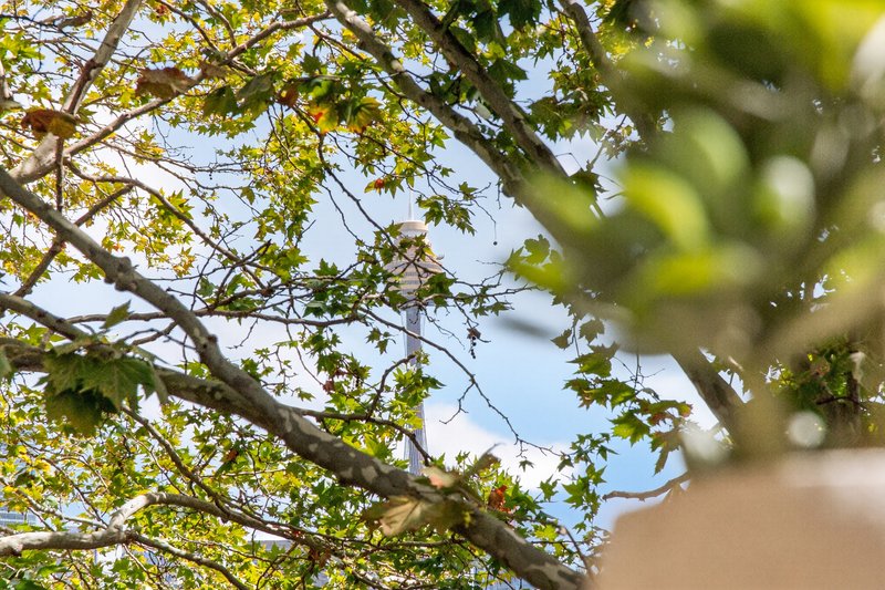 Photo - 188A Victoria Street, Potts Point NSW 2011 - Image 15