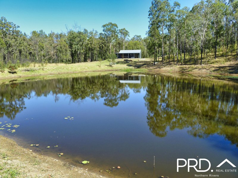 Photo - 189 Hunters Road, Ewingar NSW 2469 - Image 3