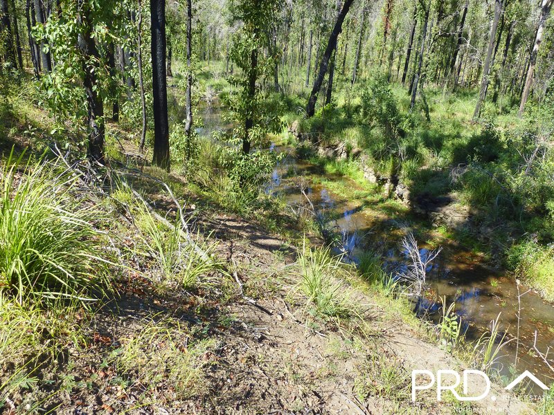 Photo - 189 Hunters Road, Ewingar NSW 2469 - Image 10