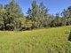 Photo - 1890 Dungay Creek Road, Wittitrin NSW 2440 - Image 2