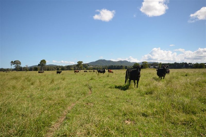 Photo - 1890 Oxley Hwy , Wauchope NSW 2446 - Image 6