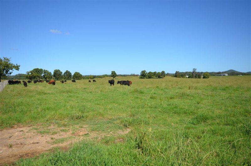 Photo - 1890 Oxley Hwy , Wauchope NSW 2446 - Image 9