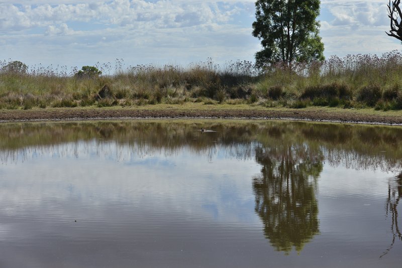 Photo - 1896 Boxridge Road, Purlewaugh NSW 2357 - Image 2