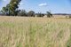 Photo - 1896 Boxridge Road, Purlewaugh NSW 2357 - Image 10