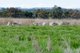 Photo - 1896 Boxridge Road, Purlewaugh NSW 2357 - Image 14