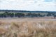 Photo - 1896 Boxridge Road, Purlewaugh NSW 2357 - Image 16