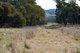 Photo - 1896 Boxridge Road, Purlewaugh NSW 2357 - Image 20