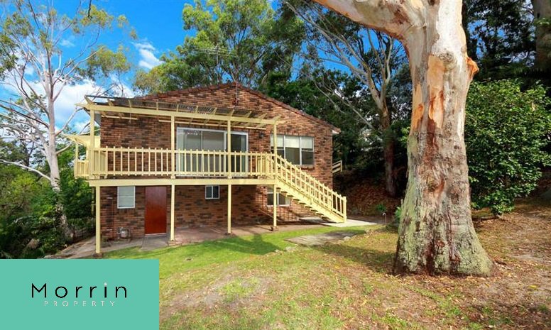 Photo - 18a Asquith Street, Oatley NSW 2223 - Image 3