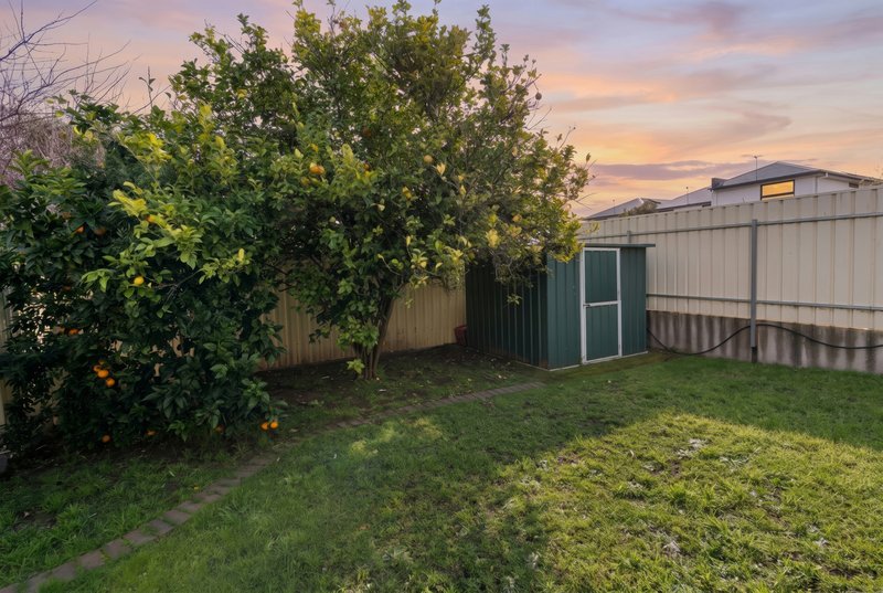 Photo - 18A Athol Avenue, Tranmere SA 5073 - Image 27