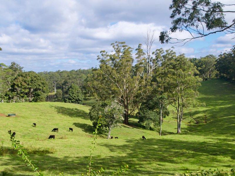 Photo - 19-115 Sellin Road, Mount Mee QLD 4521 - Image 3