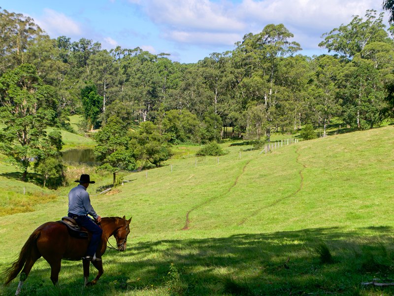 Photo - 19-115 Sellin Road, Mount Mee QLD 4521 - Image 8