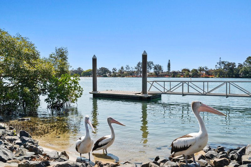 Photo - 19 Acacia Street, Tweed Heads South NSW 2486 - Image 23