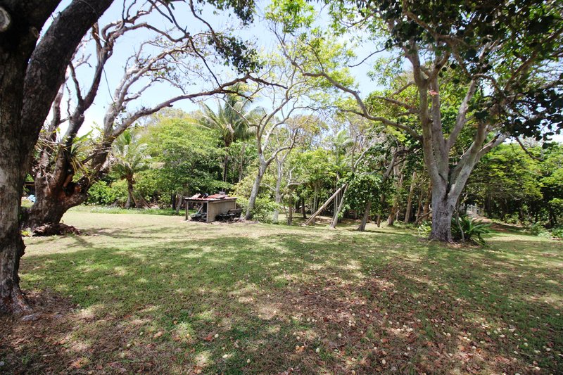 Photo - 19 Allamanda Ave , Forrest Beach QLD 4850 - Image 7