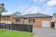 Photo - 19 Alpha Street, Chester Hill NSW 2162 - Image 16