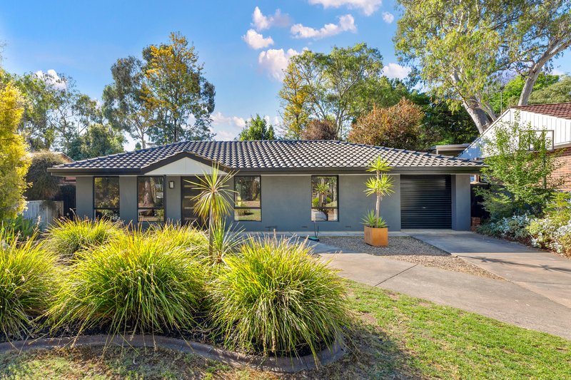 19 Amanda Drive, Surrey Downs SA 5126