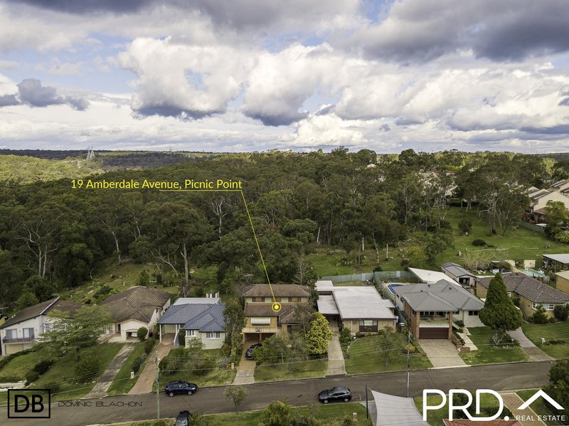 Photo - 19 Amberdale Avenue, Picnic Point NSW 2213 - Image 11