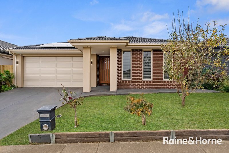Photo - 19 Antra Street, Clyde North VIC 3978 - Image 1
