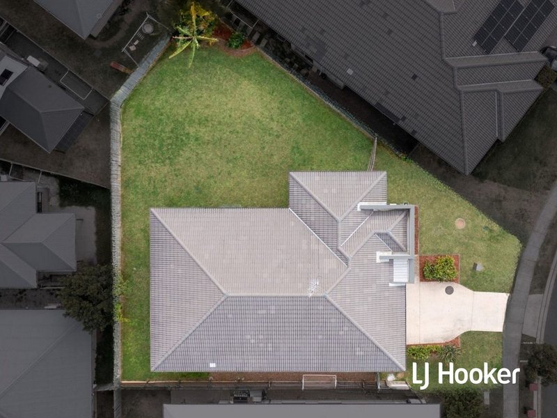 Photo - 19 Apple Circuit, Griffin QLD 4503 - Image 6
