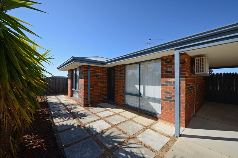 Photo - 19 Badcoe Alley, Clarkson WA 6030 - Image 3