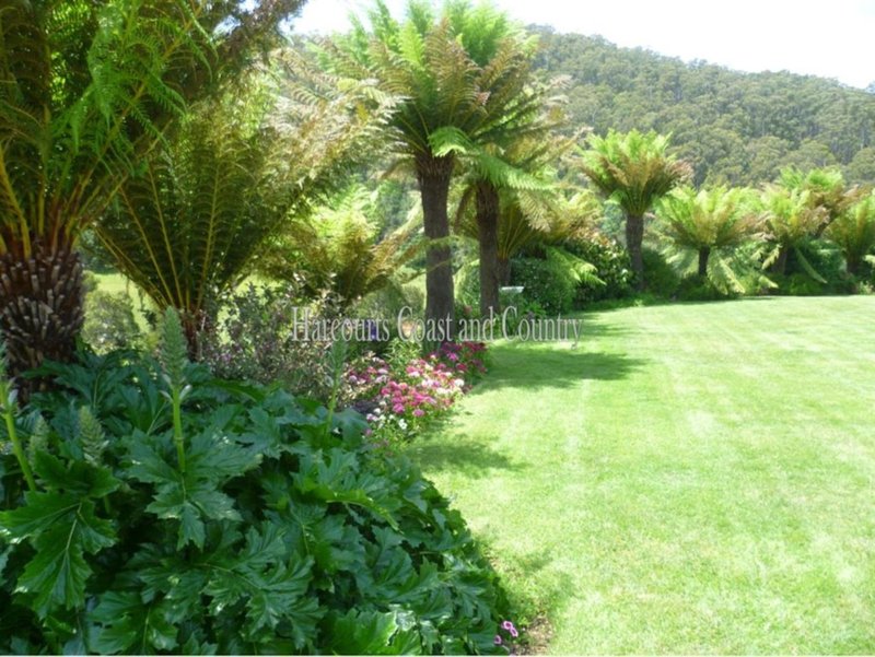 Photo - 19 Bannons Bridge Road, Gunns Plains TAS 7315 - Image 3