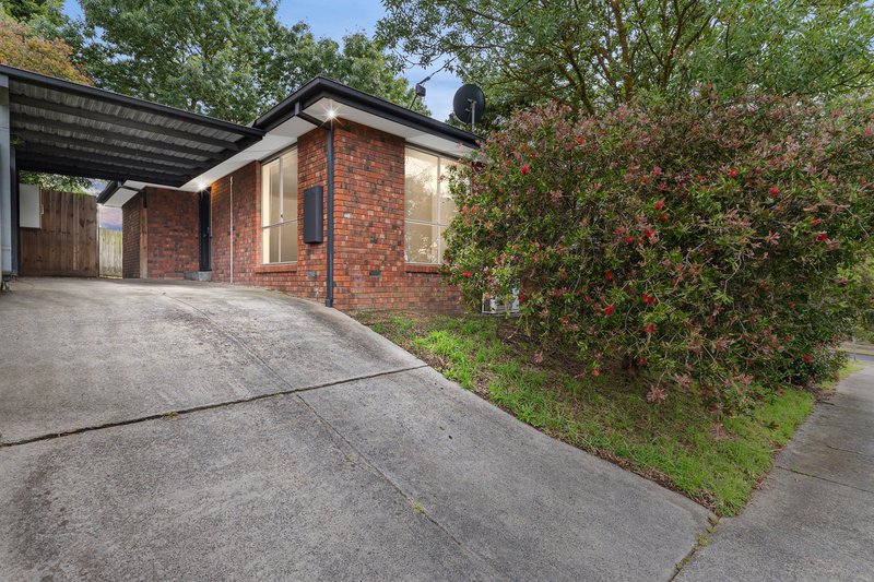 19 Barradine Crescent, Vermont South VIC 3133