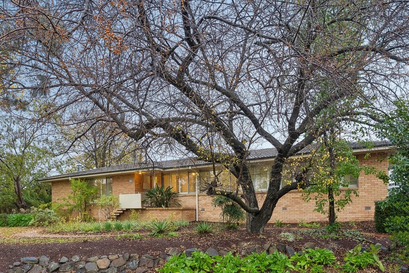 Photo - 19 Basedow Street, Torrens ACT 2607 - Image 1