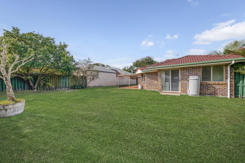 Photo - 19 Beaverbrook Circuit, Sippy Downs QLD 4556 - Image 5