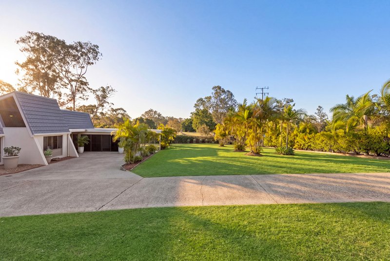 Photo - 19 Bertana Drive, Mudgeeraba QLD 4213 - Image 5