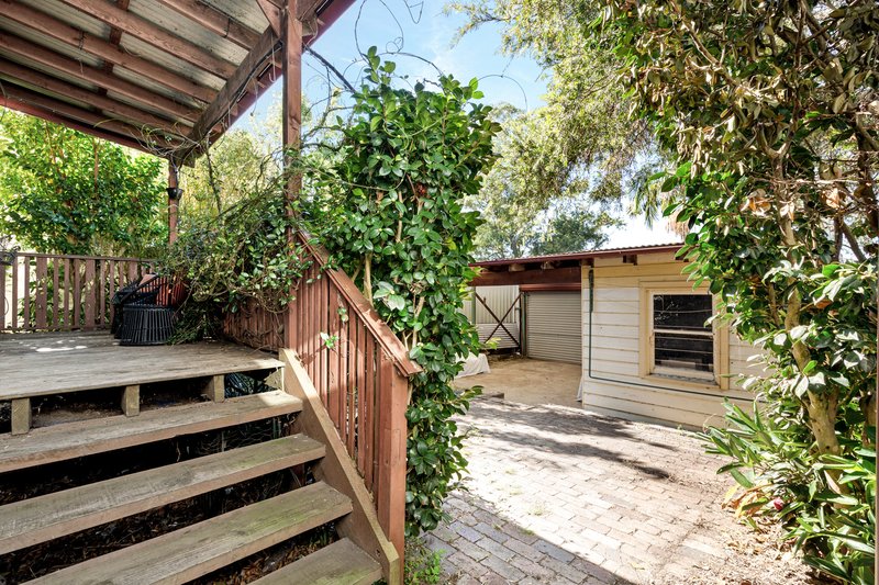 Photo - 19 Black Street, Marrickville NSW 2204 - Image 5