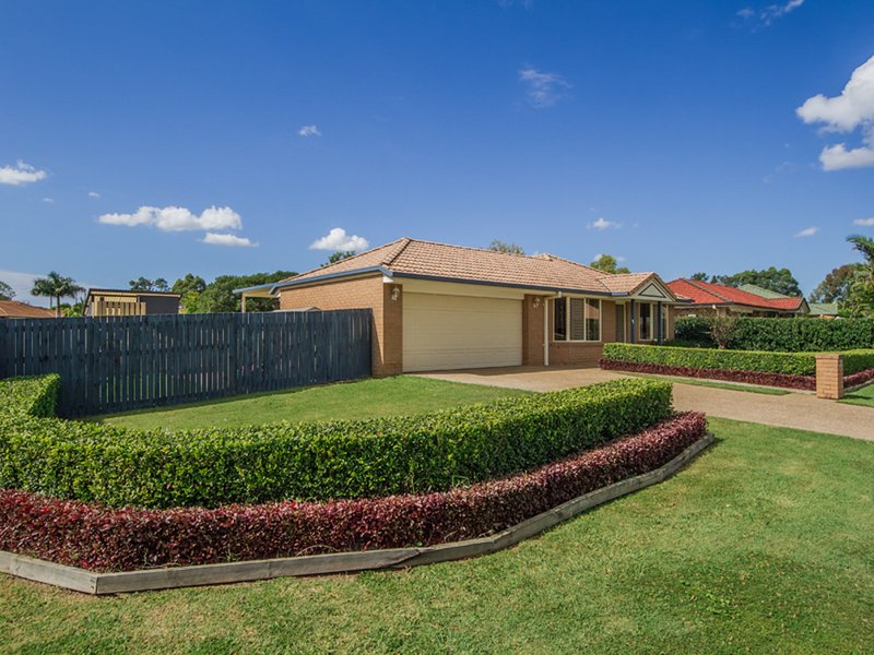 Photo - 19 Blueash Crescent, Oxenford QLD 4210 - Image 2