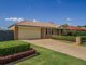 Photo - 19 Blueash Crescent, Oxenford QLD 4210 - Image 18