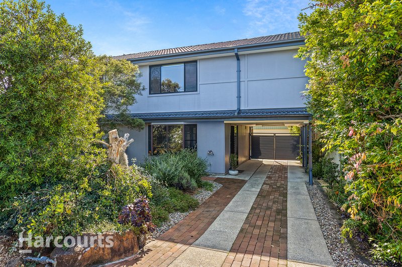 Photo - 19 Boyd Street, Minnamurra NSW 2533 - Image 4